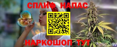 крисы Северобайкальск