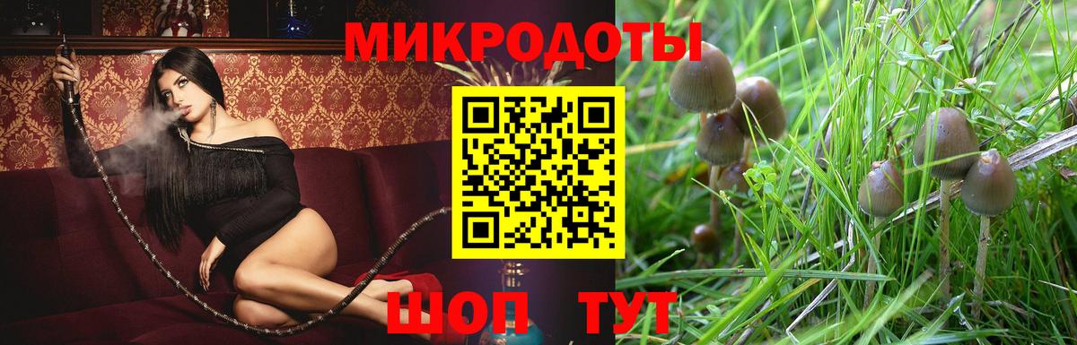 Орск  Псилоцибиновые грибы Psilocybe  Галлюциногенные грибы GOLDEN TEACHER  Вход с VPN 